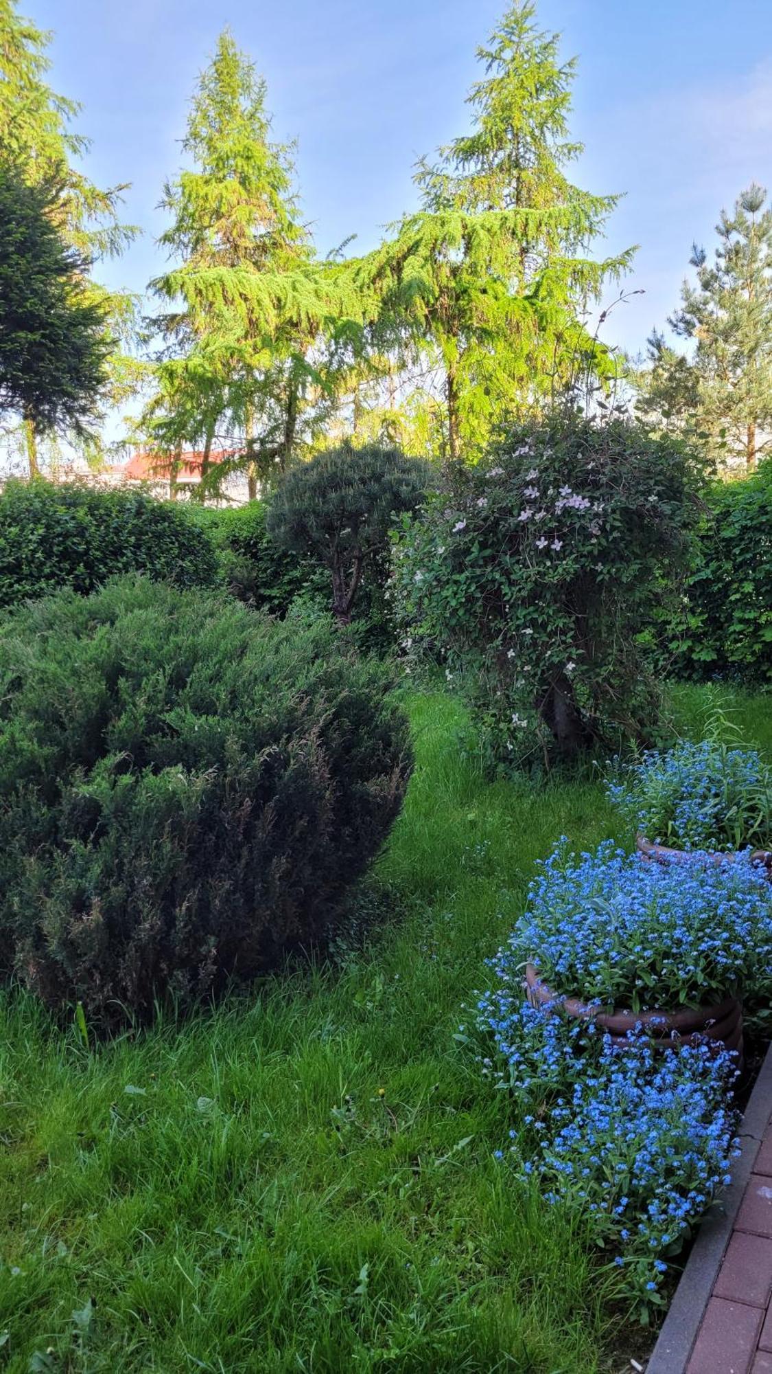 Leilighet Z Balkonem Sztum